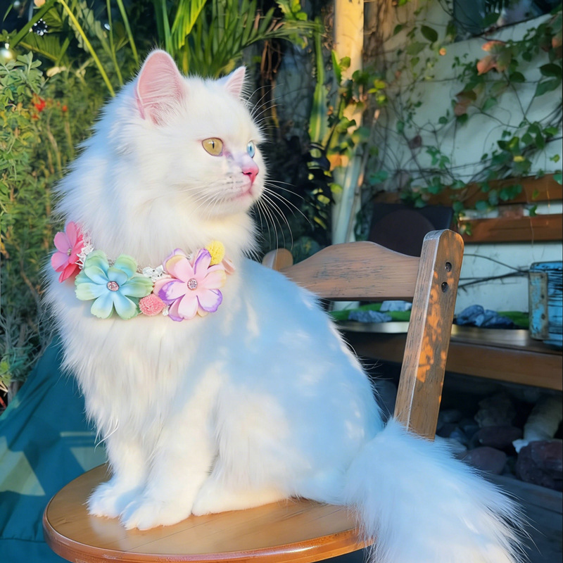 Photography Basic - Precioso Collar de Flores Coloridas para