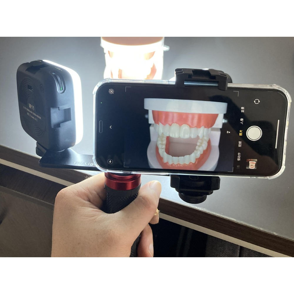 Kit de Luz Portátil para Fotog - Photography Basic reseña y precio
