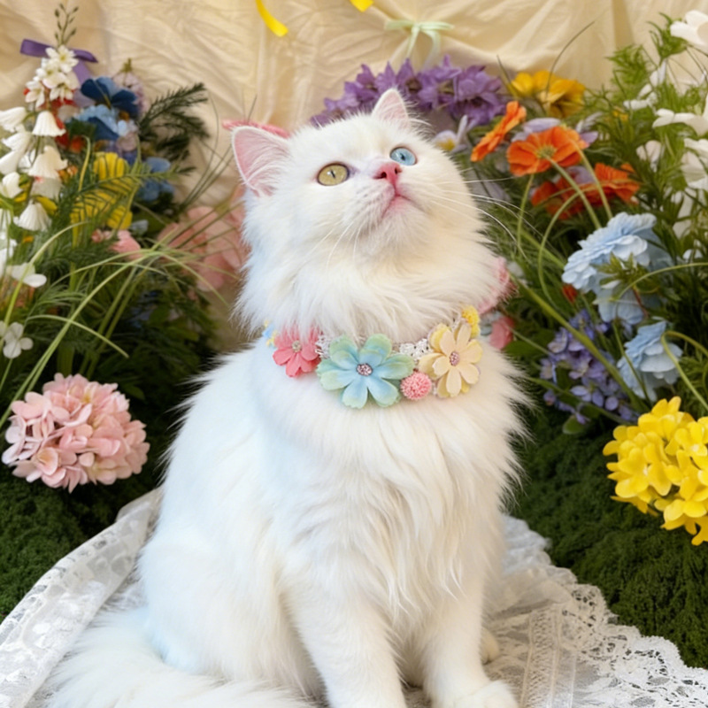 Precioso Collar de Flores Colo - Photography Basic reseña y precio