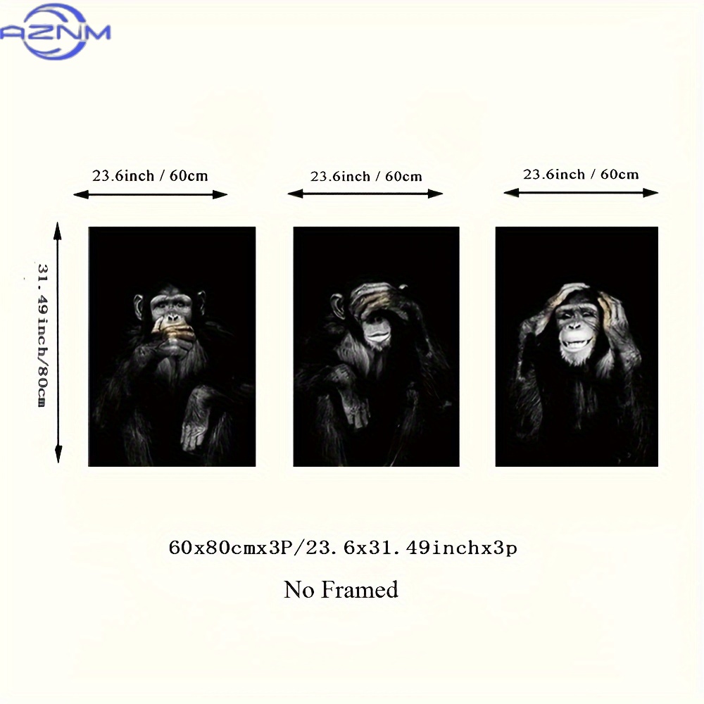 Juego de 3 Pósters Impresos en - Photography Black And White reseña y precio
